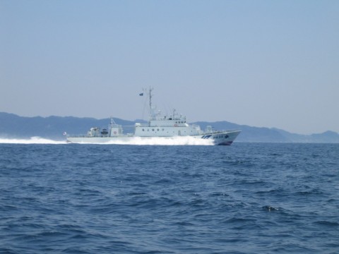 x8GcgkM9TByWiabw4wGL_480_480-75907fa3.jpg