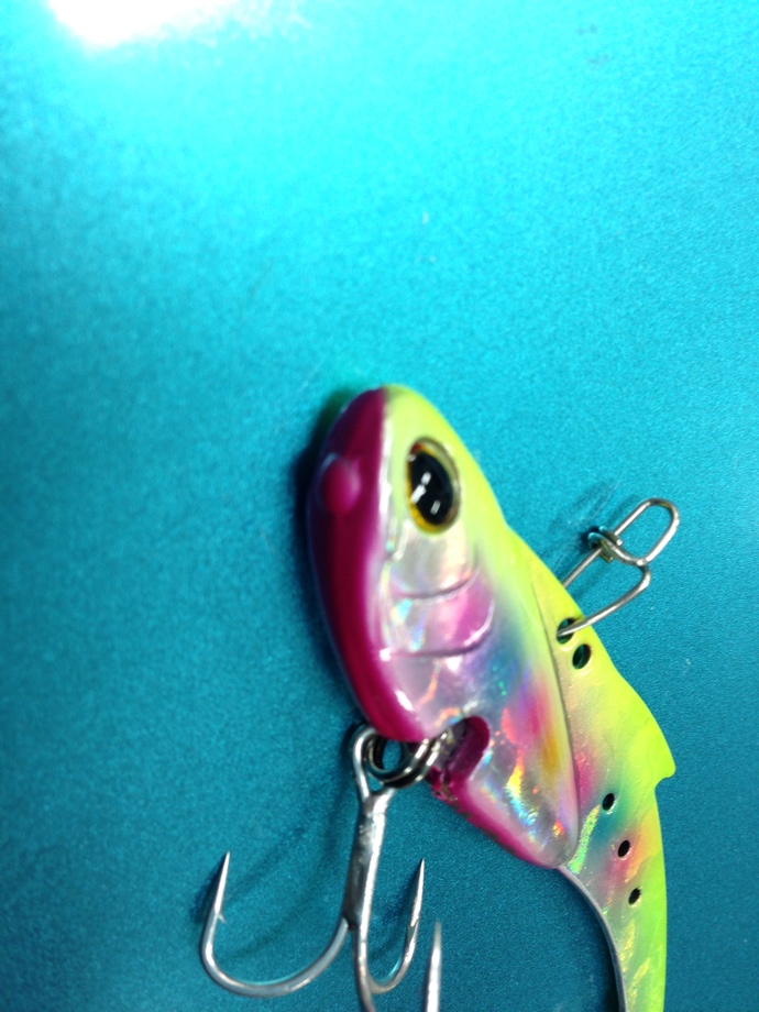 DAIWA SWチーム】 REALSTEEL ！！