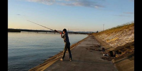 x8k69jdn77dofs36wti3_480_480-5fbac5a0.jpg