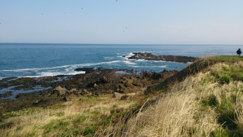 x98uf4dyozmk4rbnyo83_920_517-b6896212.jpg