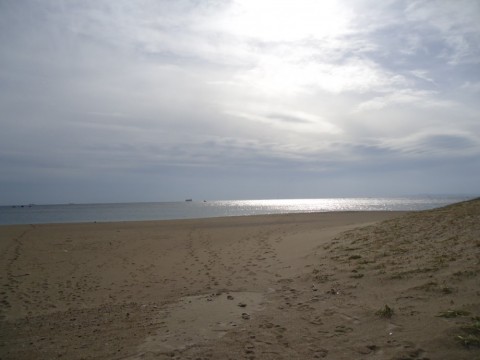 xarfcibuppn7nigbfe87_480_480-b09e67c5.jpg