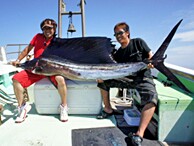xbh7pdpvfetpks7kyz6u_194_146-69241afc.jpg