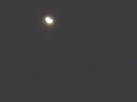 xbir93pexb9zxu2r7a5t_480_480-ae8a63df.jpg