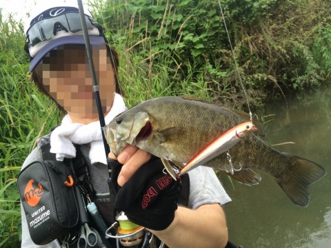 xbkaxrhmkxa94zutuhwu_480_480-2022fc7a.jpg