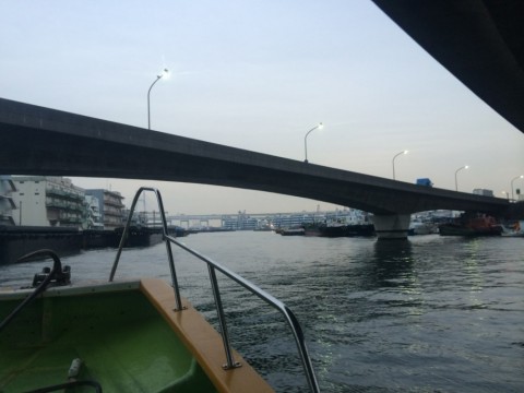 xbu3622mjpij4xpicjo7_480_480-0b0e29ae.jpg