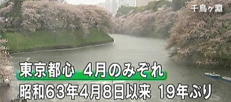 xc4h5a2cp4shvdzmaj5y-406c78b5.jpg