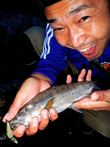 xcawoihri52mjocmpzdj_480_480-abf0d8ba.jpg