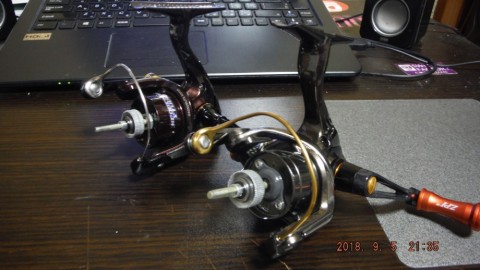 xcre5rx7xwenxvshi89a_480_480-1d712ec9.jpg