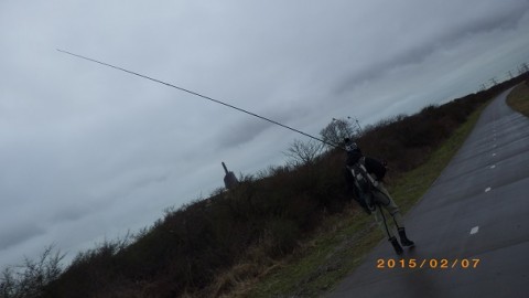 xcya8oxom4fgrxppr6cj_480_480-59e75664.jpg