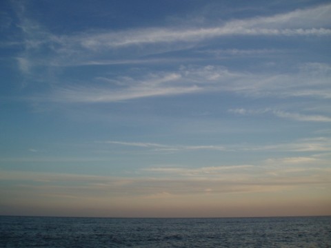 xdfxx6vwcz9h48efbkr9_480_480-67c00e20.jpg