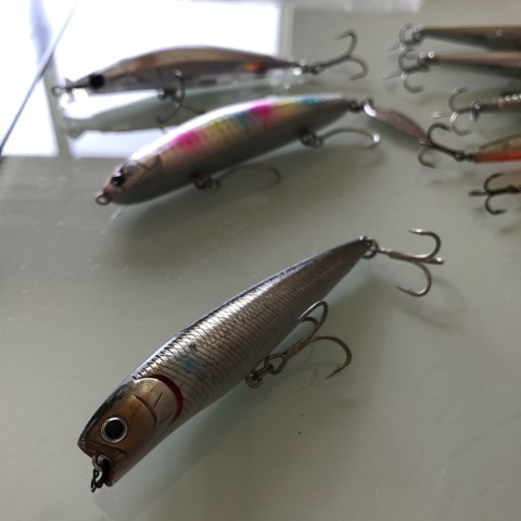 xdgdcjefmop84pinwc3u_920_920-03cc0f76.jpg