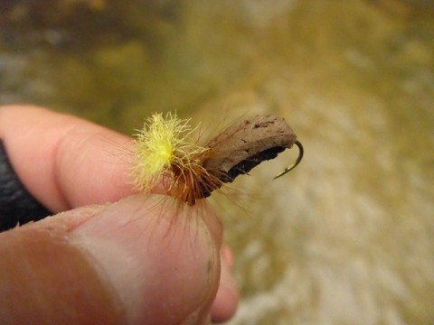 xdikyys8a7rappvnfisp_480_480-1d2c2e35.jpg