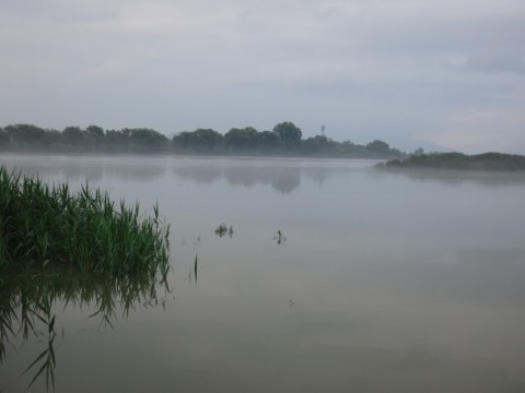 xdyafu92edvfxxs54bj5_480_480-5f397027.jpg