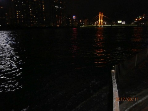 xe2nfb82uk775vdf6y4o_480_480-38b8e555.jpg