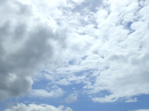 xe5m98xdth8y3snonmti_480_480-c211271e.jpg
