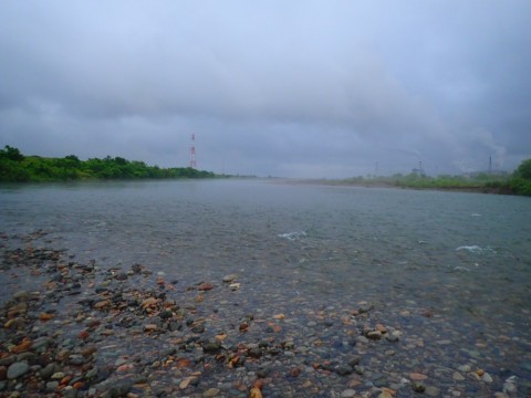 xecf893p9mrg9kwxcpky_480_480-703bb563.jpg