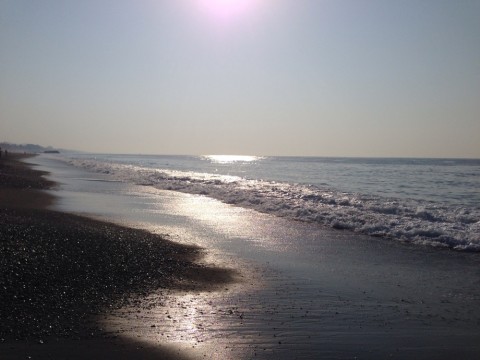 xedpnwg5iyfpgjog76xe_920_690-d4d8331b.jpg