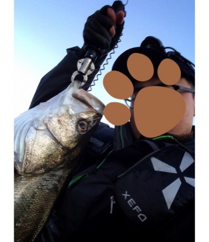 xezwu2a9tsdjfmbie2av_796_920-f2cf3457.jpg