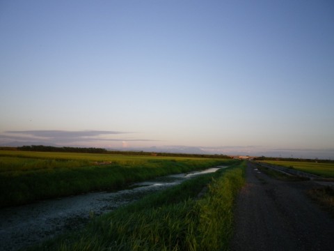 xf2mh9ddiewk5u46yr85_480_480-522b9236.jpg