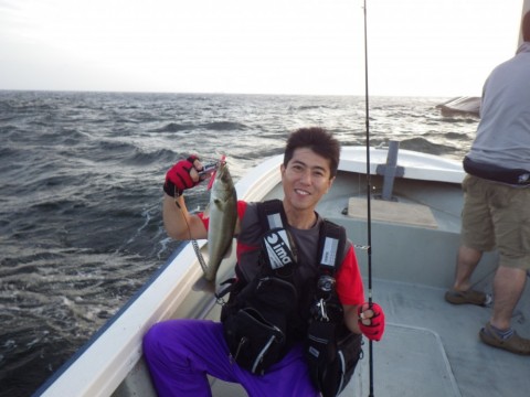 xfeb6dbarb4yxydypigv_480_480-0710009b.jpg