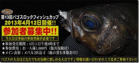 xfn7or259jp94ixzmbwg_480_480-14257f87.jpg
