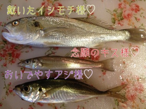 xg5mdug5yoxmjg63c8ko_920_690-9b403666.jpg