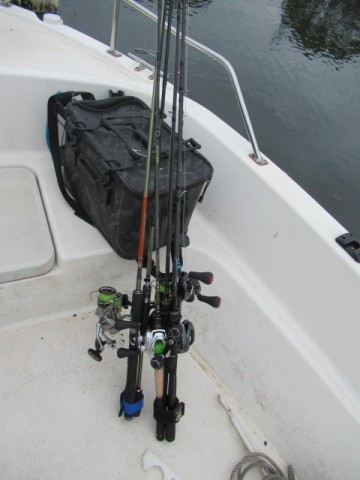 xg6kw27x5xdyeecm83c5_480_480-fb6ec267.jpg