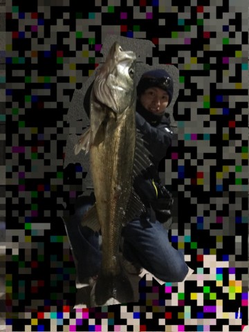 xgaow8msgk2e3cv2g2wr_690_920-73f606a3.jpg