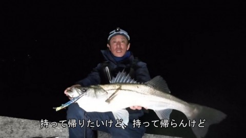 xgeemf2rvxjychubpx9b_480_480-a8cf5036.jpg