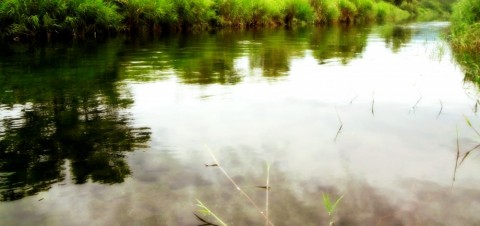 xgrki8w65sk3ekne9etg_480_480-1f86d7e0.jpg