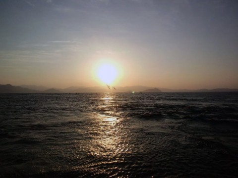 xh4c7rc8or2rdwsdxfiy_480_480-38bc670b.jpg