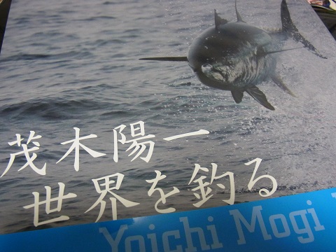 xh6da7d8sewhgu8thio5-d137af05.jpg