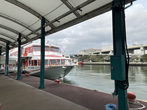 xh9mzf3hbcg3uyhinb3p_480_480-529f7881.jpg