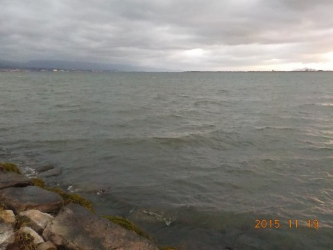 xhbsdy2n5jmcj5j9jf8m_480_480-f27eb49d.jpg