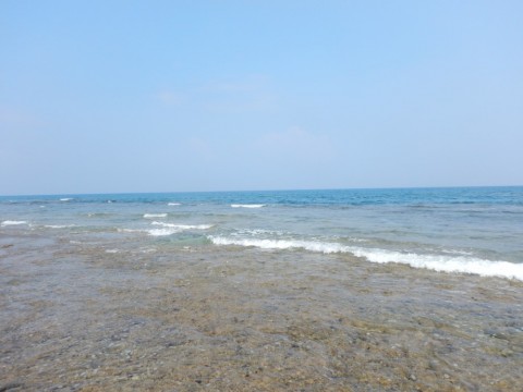 xhdhkf947kbmbb9oz8x4_480_480-ebe754eb.jpg