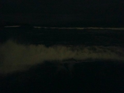 xhgfybesusxytxwsaek8_480_480-e8413e32.jpg