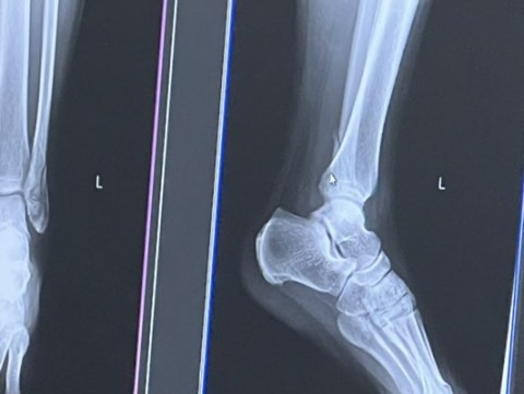 xhjwfiuo349iby8oz7bn_480_361-3ffe3f59.jpg