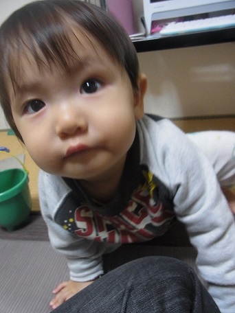 xhoahps75g3aw6vf8h6n-d775ad34.jpg