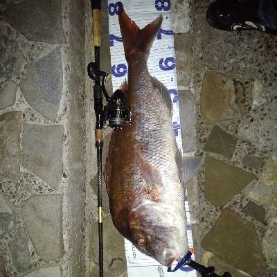 xhoiagihpfeifio997v4-d2ce54f2.jpg