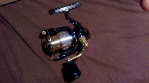 xht3fz2dhktpd2z8zyah_480_480-20ecd87d.jpg