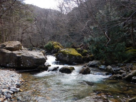 xifzsazpsfntwijk7h6w_480_480-e6a2967d.jpg