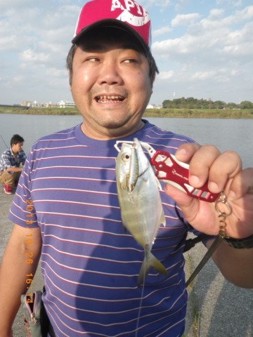 xijg3bs65m9dwbvpgd5o_690_920-2b9976ce.jpg