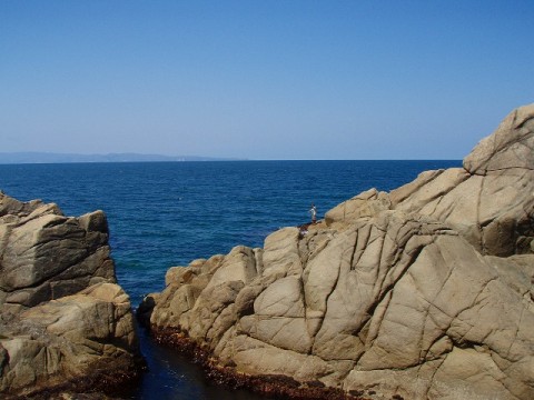 ximkvo4oa5ik3kjy3yhy_480_480-37903110.jpg