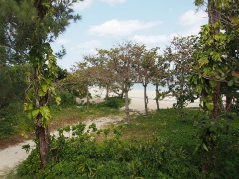 xjaujt92kce9djnf8ebh_480_480-0638b5dc.jpg