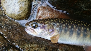 xjgupseuwhua823dehve-dc7d9ecb.jpg
