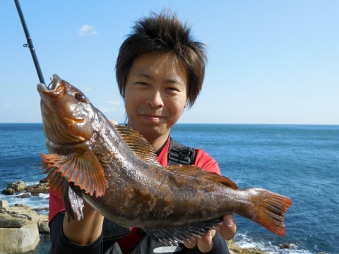 xju4a4vfrzg6gdtarg64_920_690-df7a989e.jpg