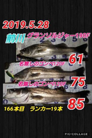 xjwr7xtc35cwc4xpr6vv_480_480-5ea815c9.jpg