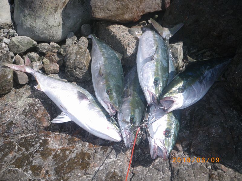 行くぜ 怪盗釣魚 Re Dive ジグミノーという選択 行くぜ 怪盗釣魚 Re Dive ジグミノーという選択