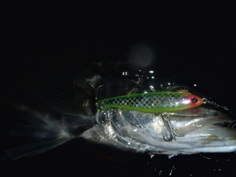 xjz4or5znpyw5xxkcaas_920_690-58d140da.jpg
