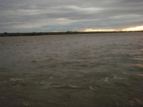 xkms5dx3jvp6e49kfn9o_480_480-2a64f063.jpg
